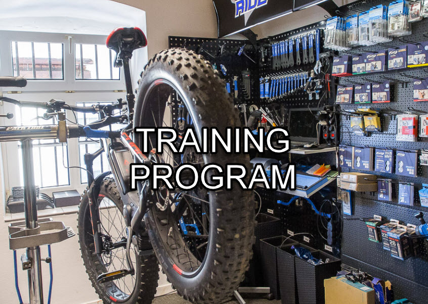 Introduction to Ebike Repair Business - Online Training Program